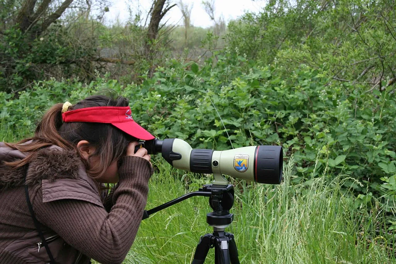 Woman operating a camera during a live production